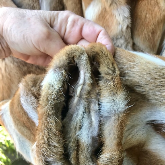 Cute ShortHair Fox Fur Jacket Wide UpperArms - Picture 11 of 11